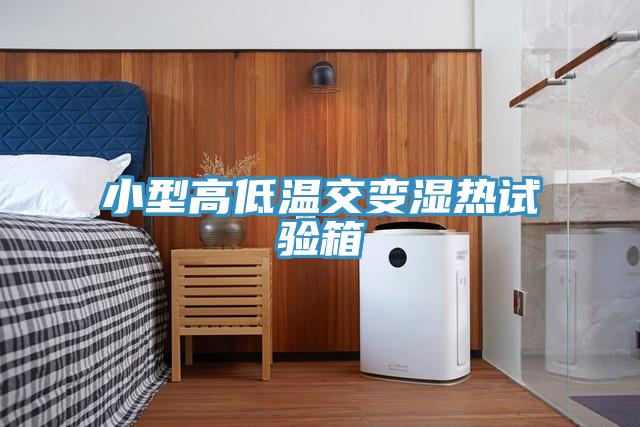 亚洲乱码一区二区三区 小型高低温交变湿热试验箱