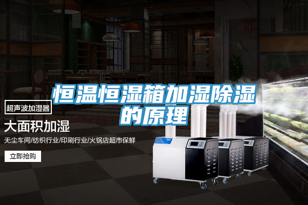 亚洲欧美一级特黄大片 恒温恒湿箱加湿除湿的原理