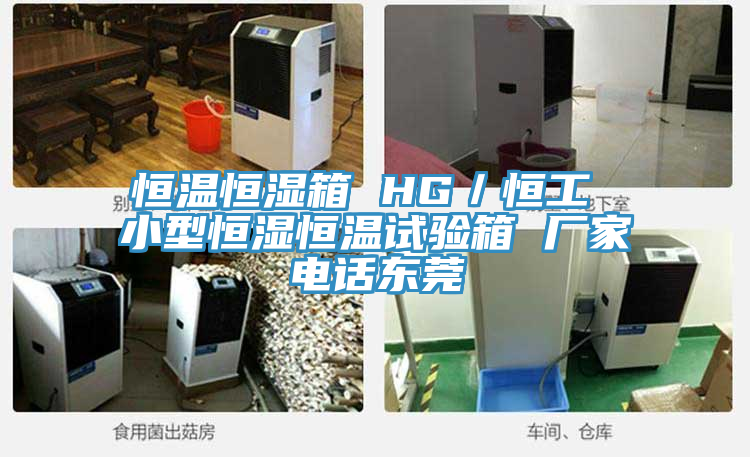 亚洲乱码一区二区三区 恒温恒湿箱 HG／恒工 小型恒湿恒温试验箱 厂家电话东莞