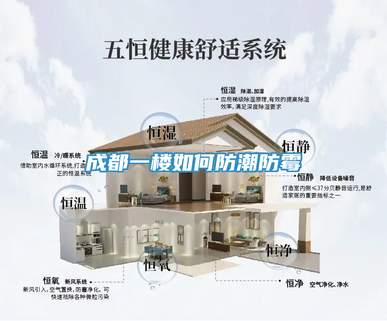亚洲人成综合第一网站 成都一楼如何防潮防霉