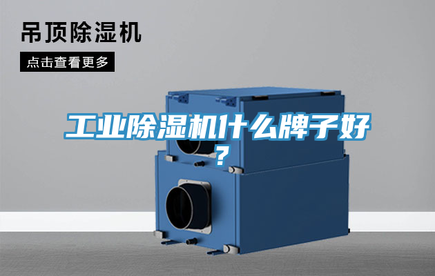 亚洲欧美一级特黄大片 工业除湿机什么牌子好？
