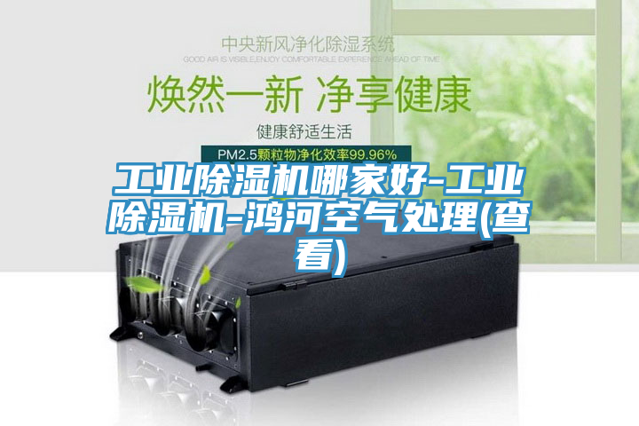 亚洲人成综合第一网站 工业除湿机哪家好-工业除湿机-鸿河空气处理(查看)