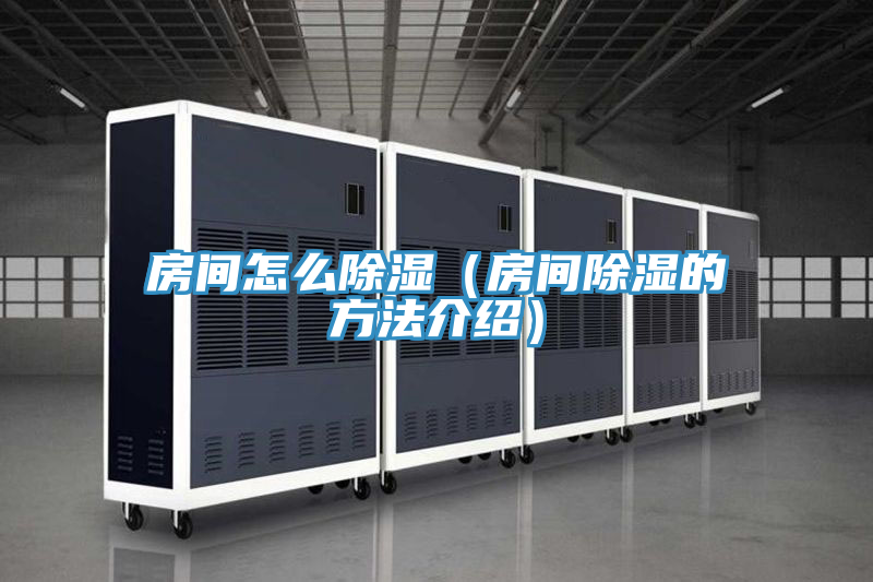 亚洲欧美一级特黄大片 房间怎么除湿（房间除湿的方法介绍）