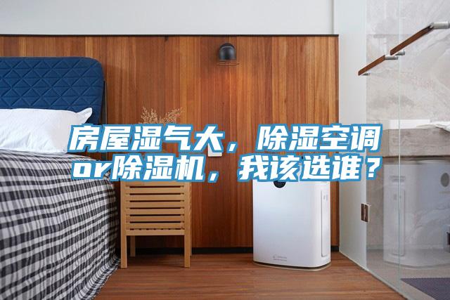 亚洲欧美一级特黄大片 房屋湿气大，除湿空调or除湿机，我该选谁？