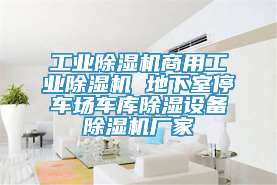 亚洲欧美一级特黄大片 工业除湿机商用工业除湿机 地下室停车场车库除湿设备除湿机厂家