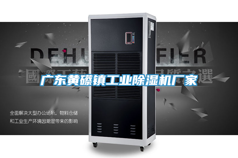 亚洲欧美一级特黄大片 广东黄礤镇工业除湿机厂家