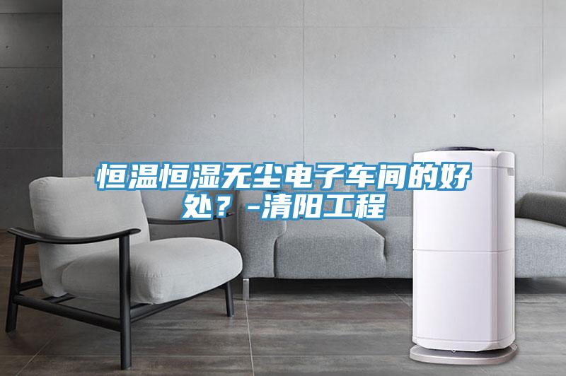 亚洲人成综合第一网站 恒温恒湿无尘电子车间的好处？-清阳工程