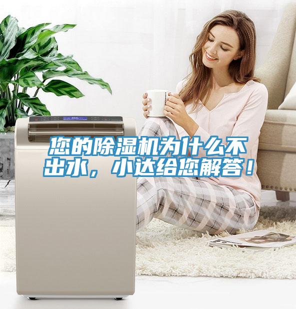 亚洲乱码一区二区三区 您的除湿机为什么不出水，小达给您解答！