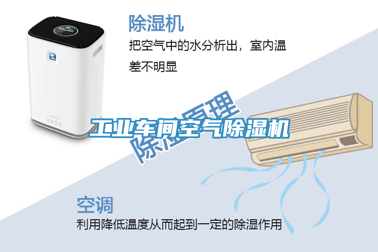亚洲人成综合第一网站 工业车间空气除湿机