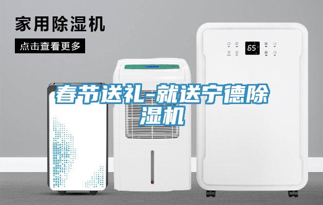 亚洲人成综合第一网站 春节送礼-就送宁德除湿机