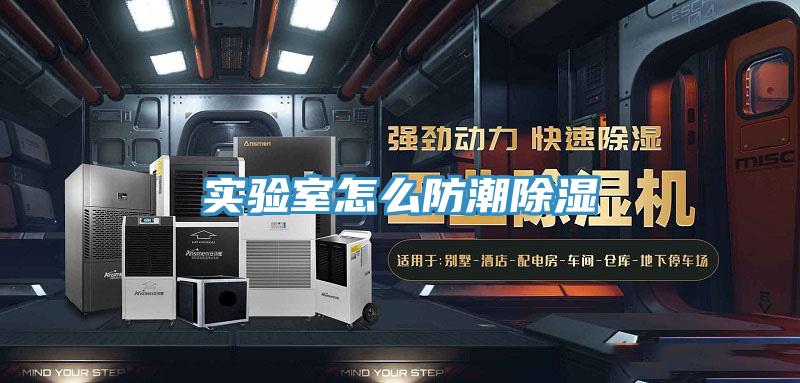 亚洲人成综合第一网站 实验室怎么防潮除湿