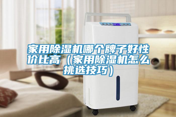 亚洲欧美一级特黄大片 家用除湿机哪个牌子好性价比高（家用除湿机怎么挑选技巧）