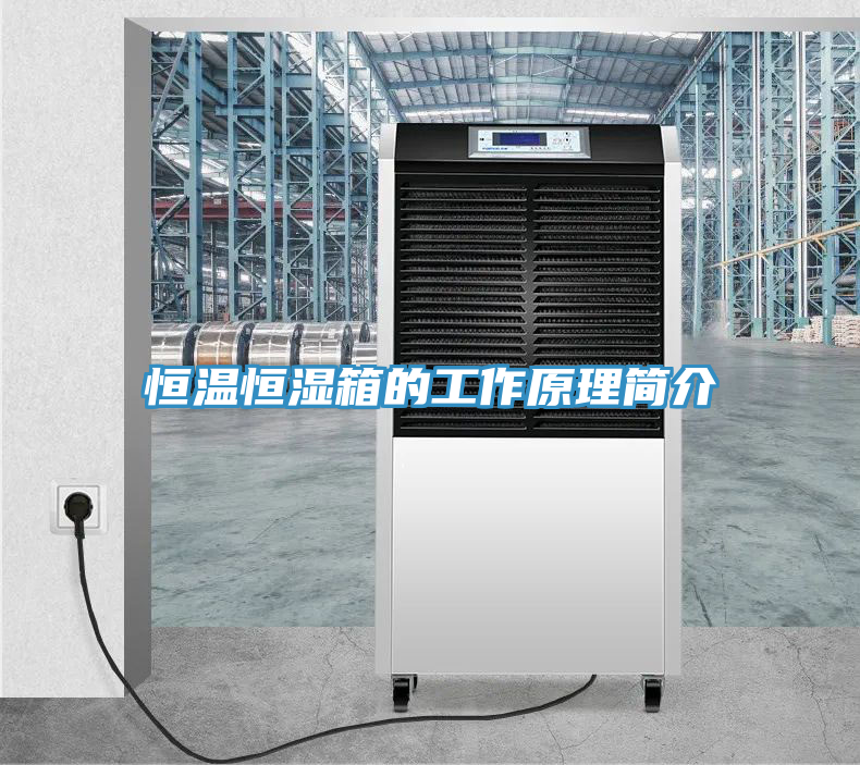 亚洲欧美一级特黄大片 恒温恒湿箱的工作原理简介