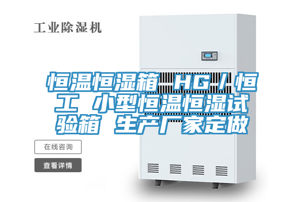 亚洲欧美一级特黄大片 恒温恒湿箱 HG／恒工 小型恒温恒湿试验箱 生产厂家定做