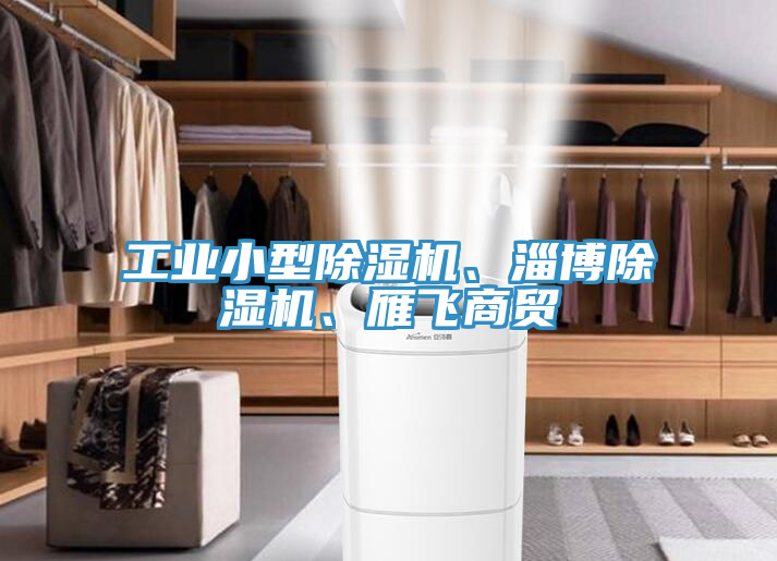 亚洲欧美一级特黄大片 工业小型除湿机、淄博除湿机、雁飞商贸