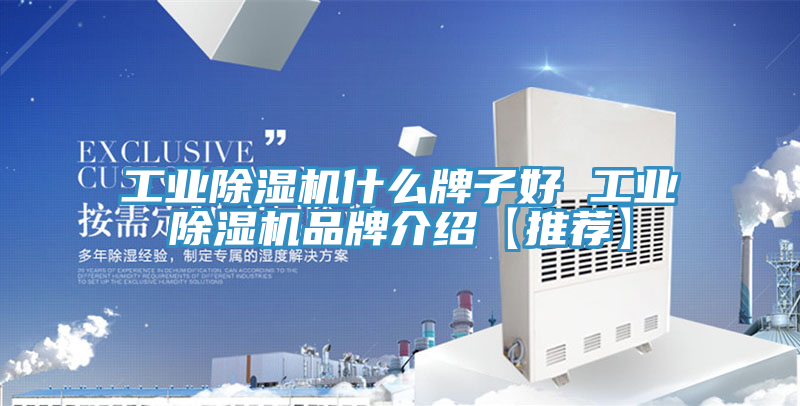 亚洲乱码一区二区三区 工业除湿机什么牌子好 工业除湿机品牌介绍【推荐】