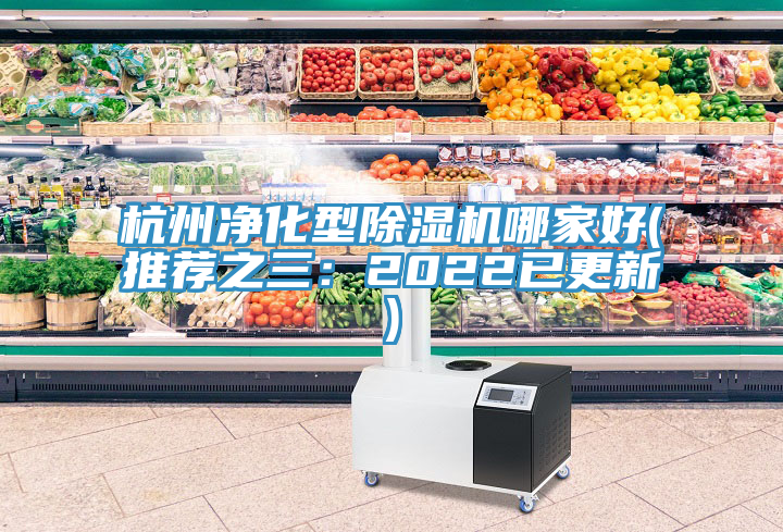 亚洲乱码一区二区三区 杭州净化型除湿机哪家好(推荐之三：2022已更新)