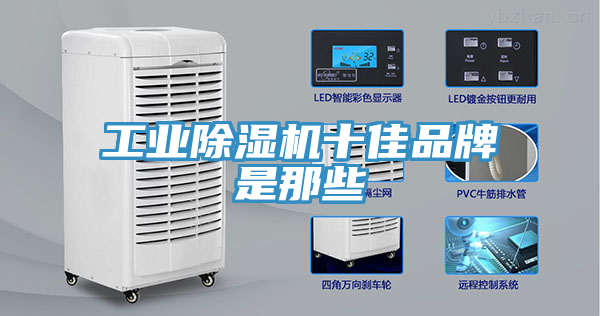 亚洲欧美一级特黄大片 工业除湿机十佳品牌是那些