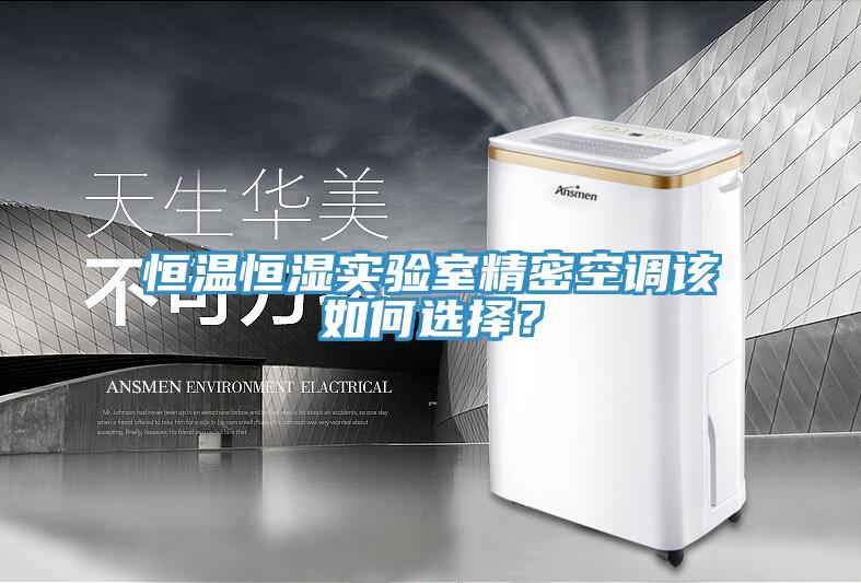亚洲欧美一级特黄大片 恒温恒湿实验室精密空调该如何选择？
