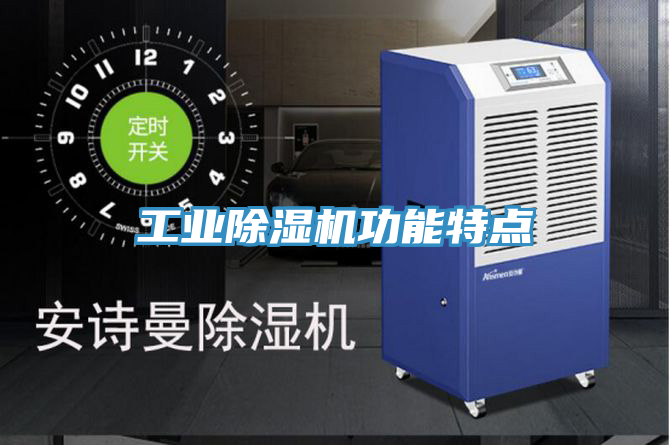 亚洲人成综合第一网站 工业除湿机功能特点
