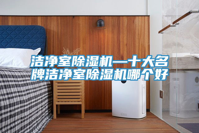 亚洲乱码一区二区三区 洁净室除湿机—十大名牌洁净室除湿机哪个好