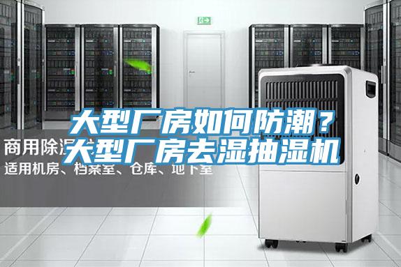 亚洲欧美一级特黄大片 大型厂房如何防潮？大型厂房去湿抽湿机