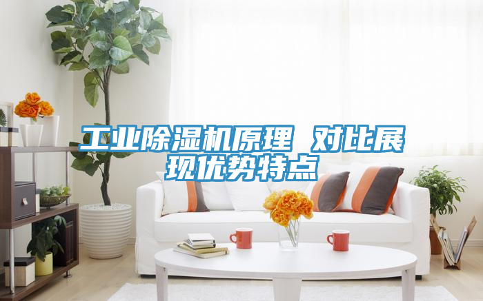 亚洲人成综合第一网站 工业除湿机原理 对比展现优势特点