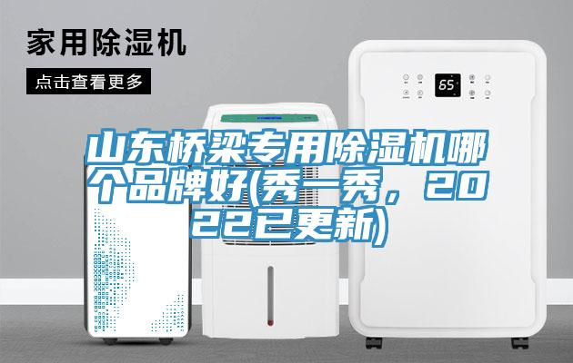 亚洲欧美一级特黄大片 山东桥梁专用除湿机哪个品牌好(秀一秀，2022已更新)