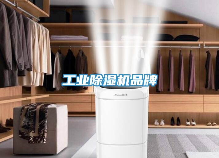 亚洲人成综合第一网站 工业除湿机品牌