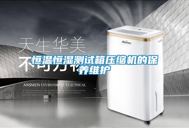 亚洲人成综合第一网站 恒温恒湿测试箱压缩机的保养维护