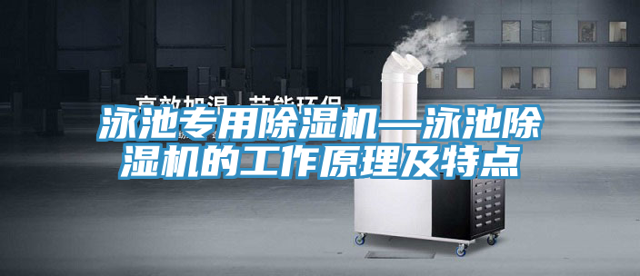 亚洲人成综合第一网站 泳池专用除湿机—泳池除湿机的工作原理及特点