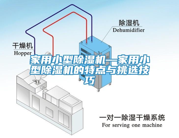 亚洲欧美一级特黄大片 家用小型除湿机—家用小型除湿机的特点与挑选技巧
