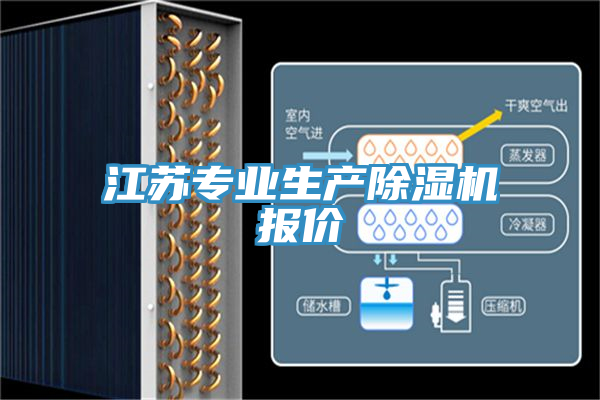 亚洲欧美一级特黄大片 江苏专业生产除湿机报价