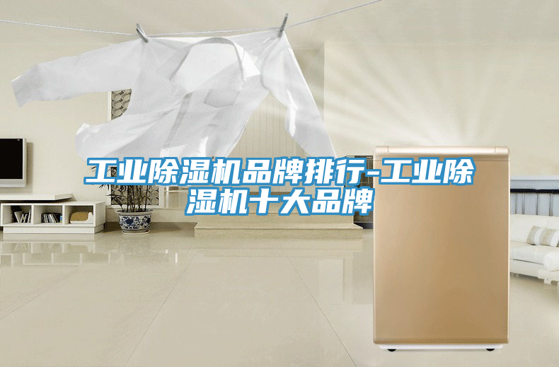 亚洲人成综合第一网站 工业除湿机品牌排行-工业除湿机十大品牌
