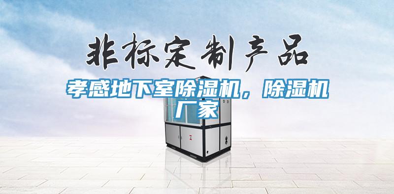 亚洲欧美一级特黄大片 孝感地下室除湿机，除湿机厂家