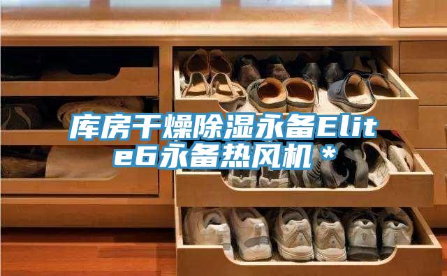 亚洲欧美一级特黄大片 库房干燥除湿永备Elite6永备热风机＊