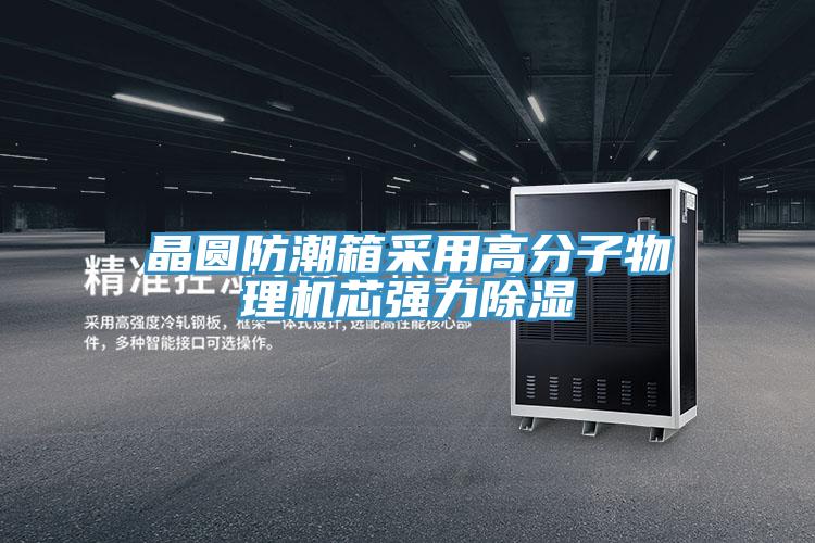 亚洲人成综合第一网站 晶圆防潮箱采用高分子物理机芯强力除湿