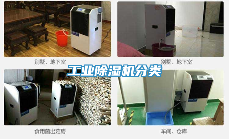 亚洲欧美一级特黄大片 工业除湿机分类