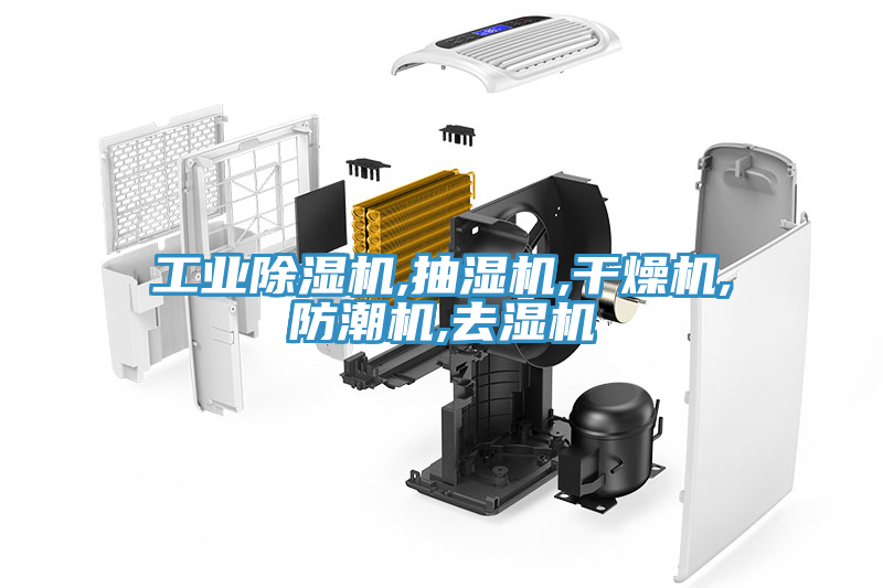 亚洲人成综合第一网站 工业除湿机,抽湿机,干燥机,防潮机,去湿机