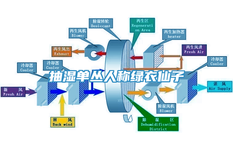 亚洲乱码一区二区三区 抽湿单丛人称绿衣仙子