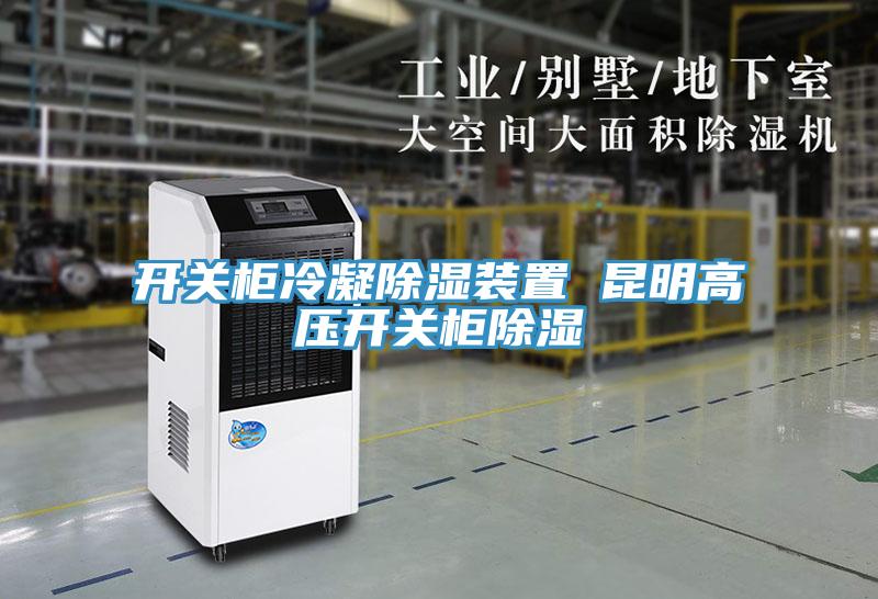 亚洲人成综合第一网站 开关柜冷凝除湿装置 昆明高压开关柜除湿