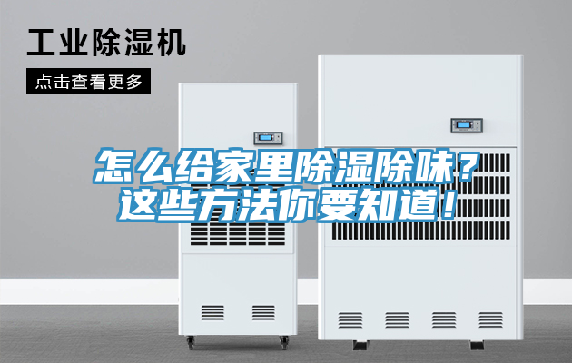 亚洲人成综合第一网站 怎么给家里除湿除味？这些方法你要知道！