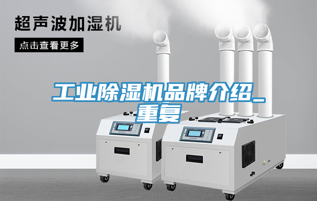 亚洲欧美一级特黄大片 工业除湿机品牌介绍_重复