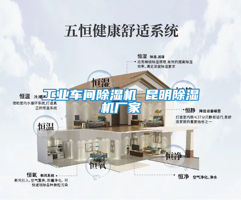 亚洲欧美一级特黄大片 工业车间除湿机 昆明除湿机厂家