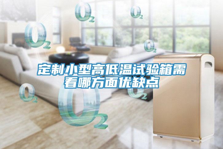 亚洲人成综合第一网站 定制小型高低温试验箱需看哪方面优缺点