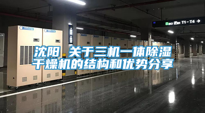 亚洲人成综合第一网站 沈阳 关于三机一体除湿干燥机的结构和优势分享