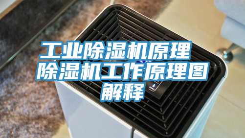 亚洲乱码一区二区三区 工业除湿机原理 除湿机工作原理图解释