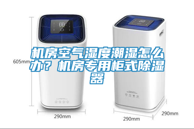 亚洲乱码一区二区三区 机房空气湿度潮湿怎么办？机房专用柜式除湿器