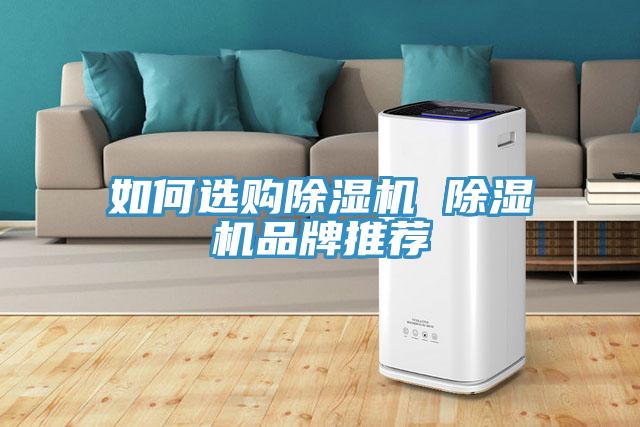 亚洲欧美一级特黄大片 如何选购除湿机 除湿机品牌推荐