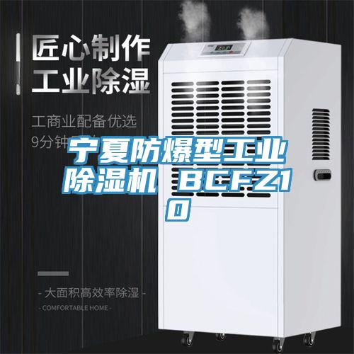 亚洲人成综合第一网站 宁夏防爆型工业除湿机 BCFZ10